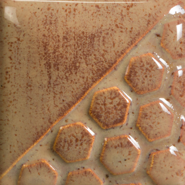 Ginger Root 1 Ginger Root