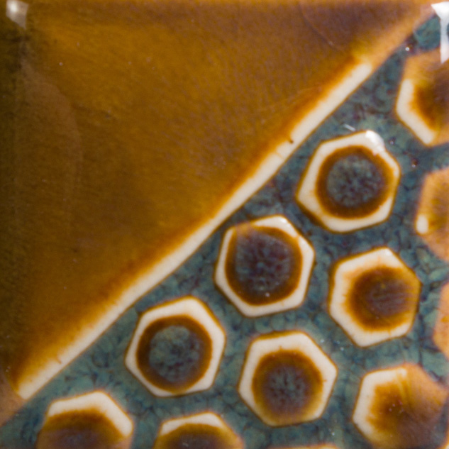 Ginger Root 2 Ginger Root - immagine 2