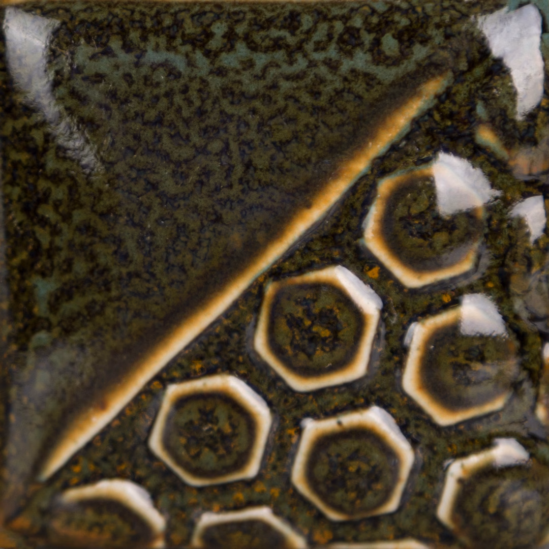 Turtle Shell 3 Turtle Shell - immagine 3