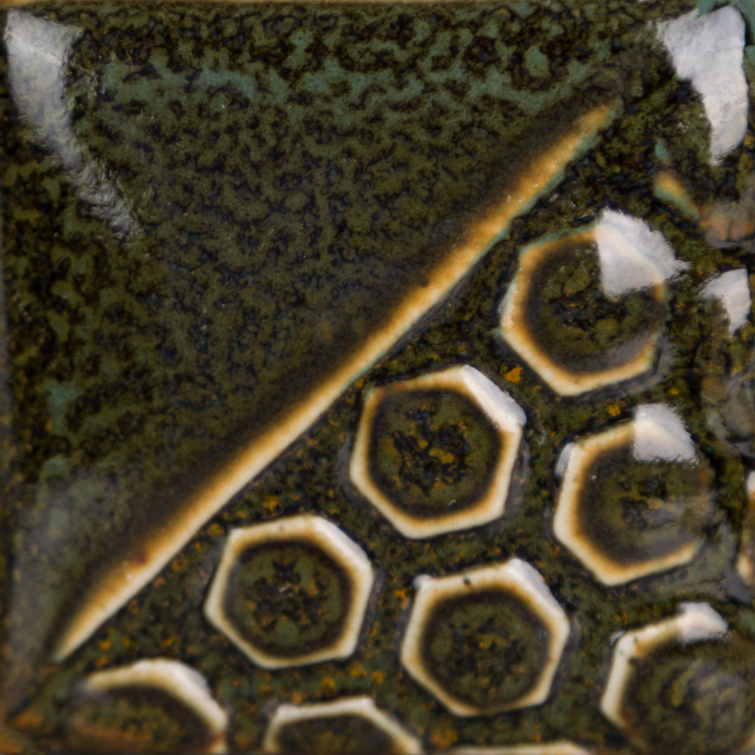 Turtle Shell 3 Turtle Shell - immagine 3