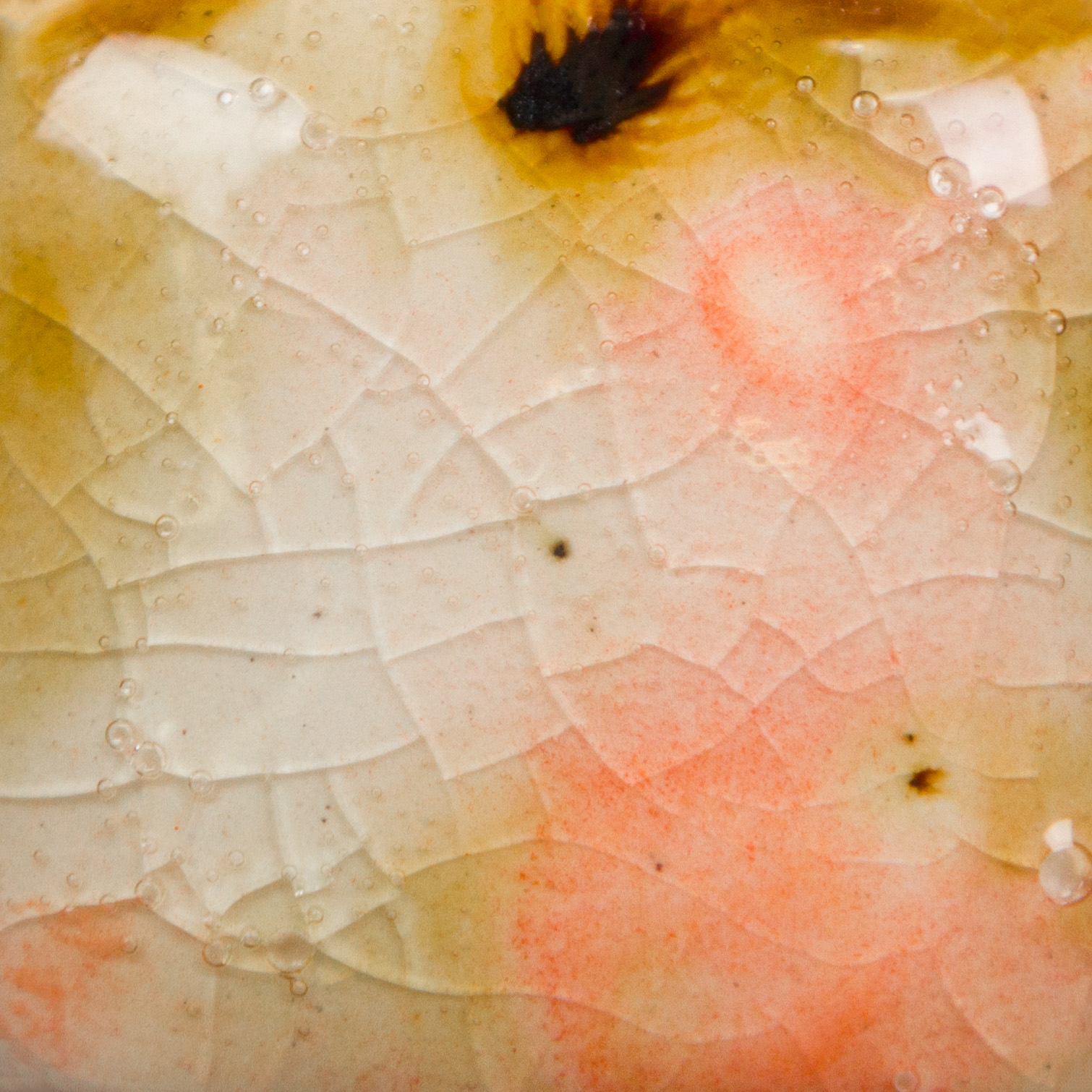 Day Lily 2 Risultati estetici dello smalto in cottura