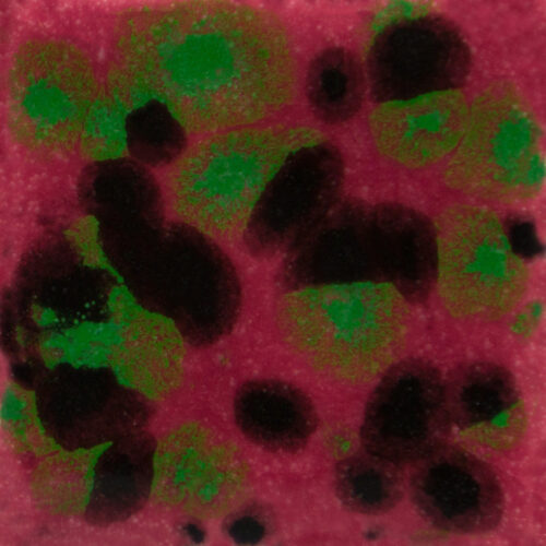 Home 23 Maroon Lagoon - Mayco