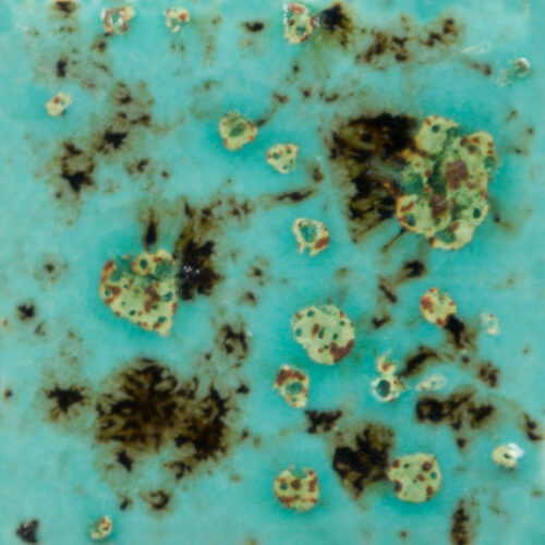 Home 28 Blue Guppy - Mayco