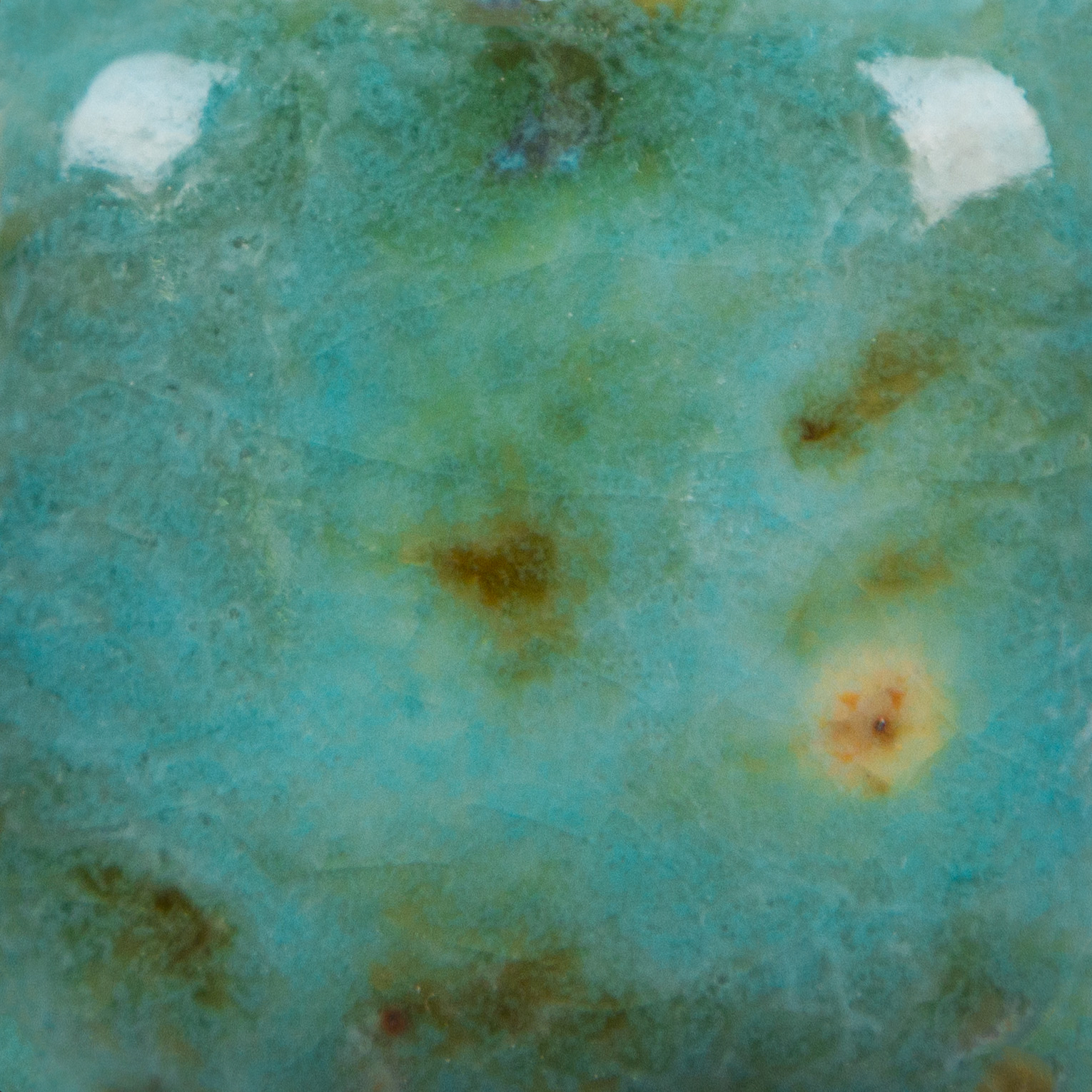 Blue Guppy 2 Risultati estetici dello smalto in cottura