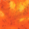 Wildfire