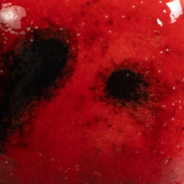 Ladybug 2 Risultati estetici dello smalto in cottura