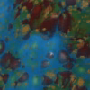 Monet’s Pond
