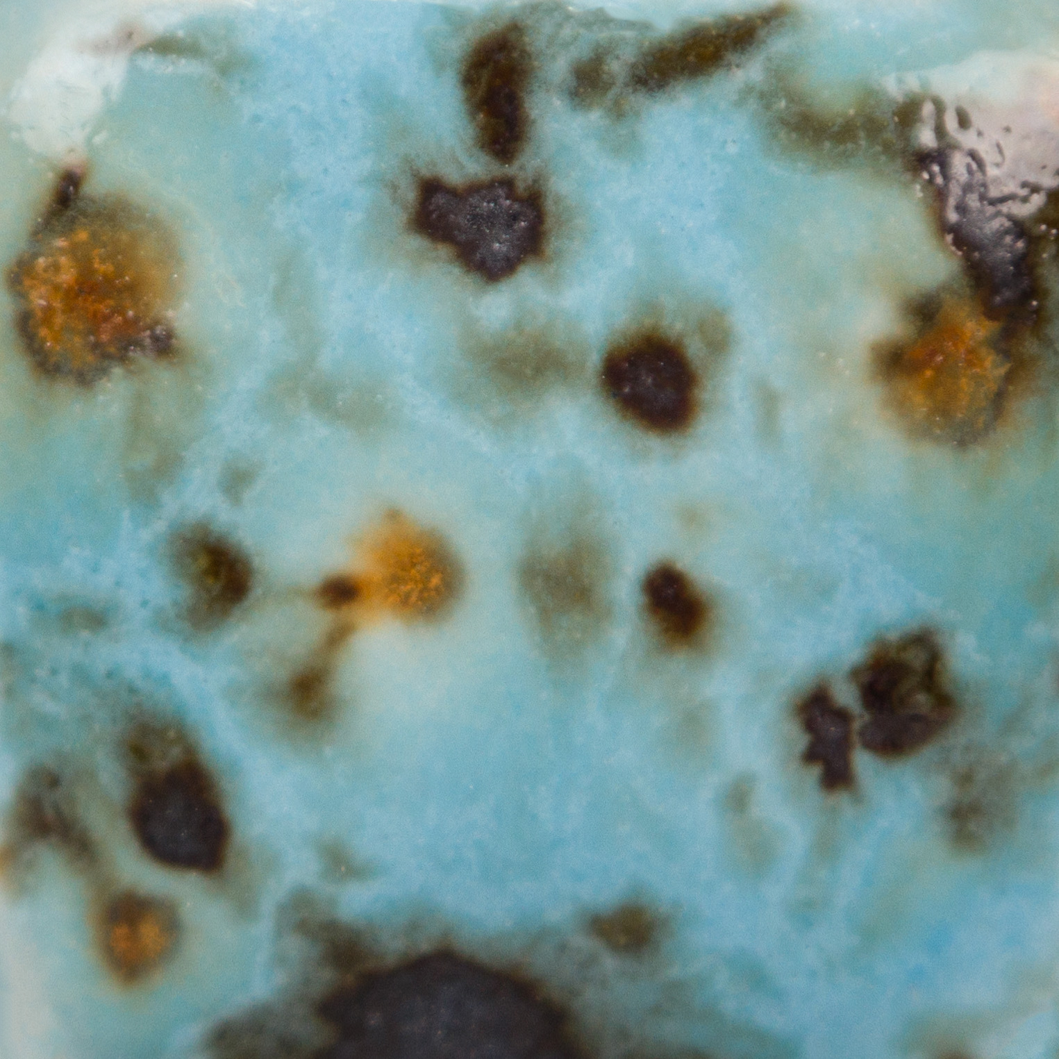 Blue Guppy 3 Risultati estetici dello smalto in cottura