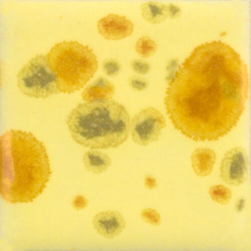 Home 24 Haystack Mayco