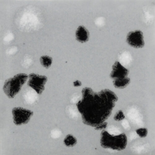 Home 29 Asteroid Mayco