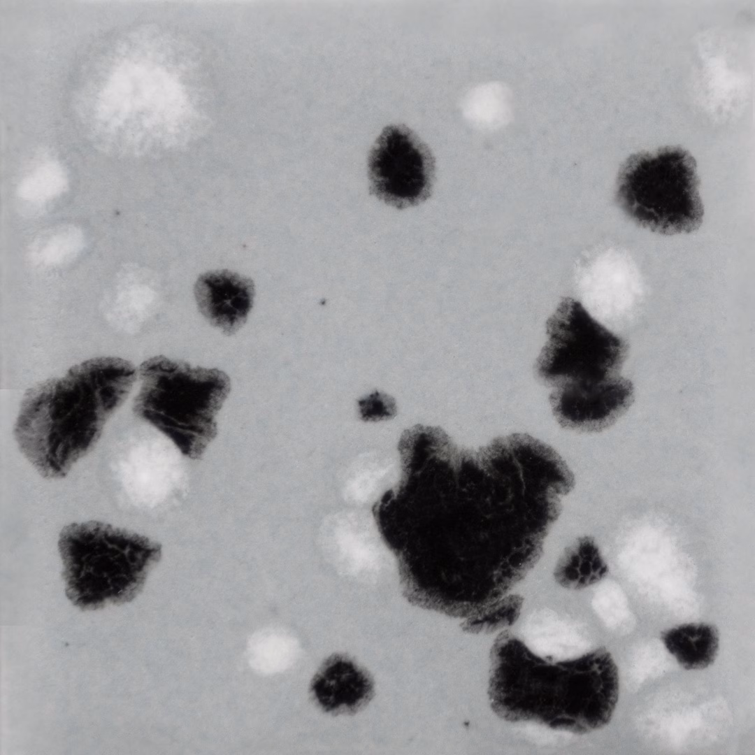 Asteroid 1 Asteroid Mayco