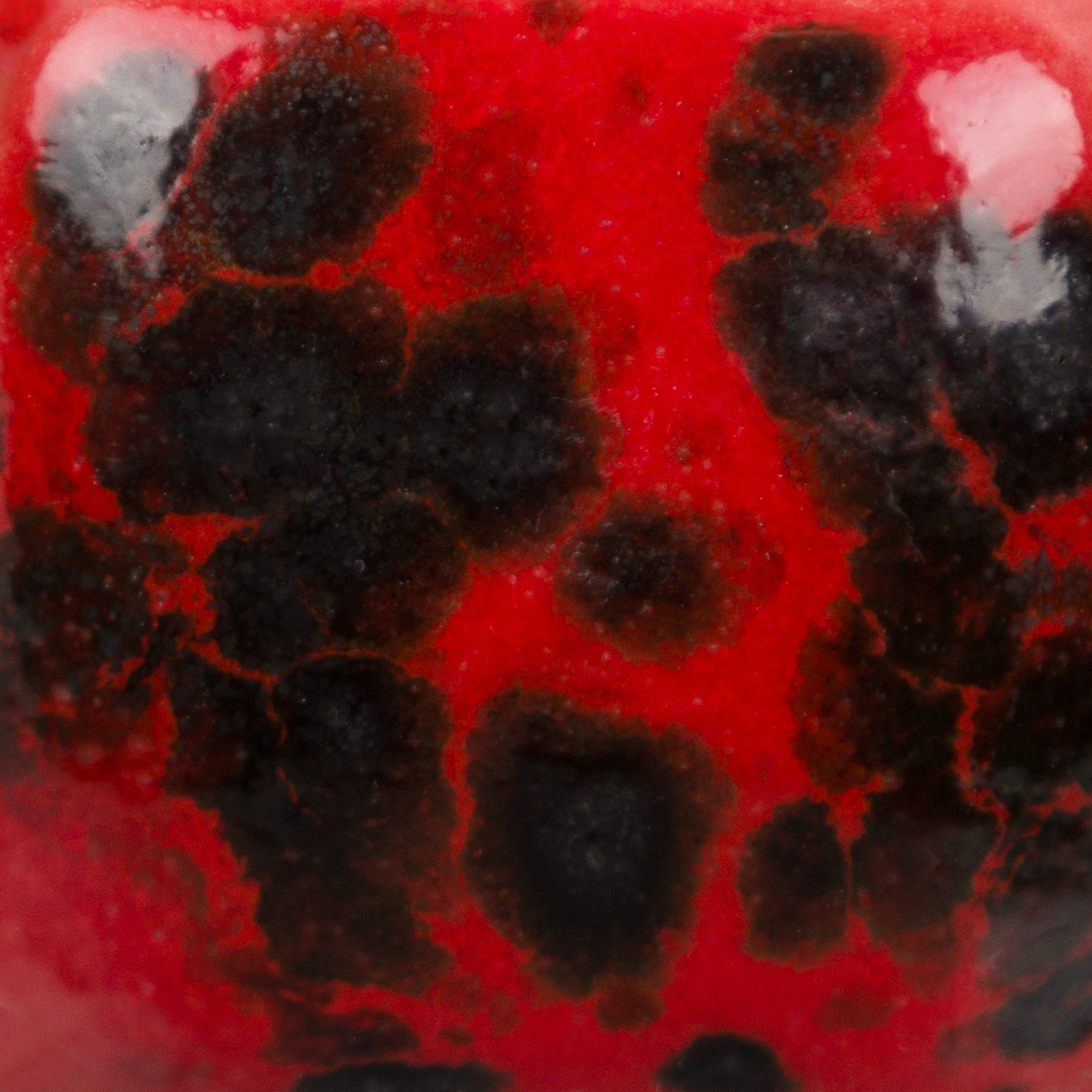 Ladybug 3 Risultati estetici dello smalto in cottura