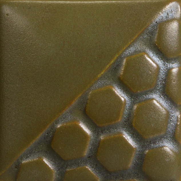 Spanish Moss 1 Spanish Moss