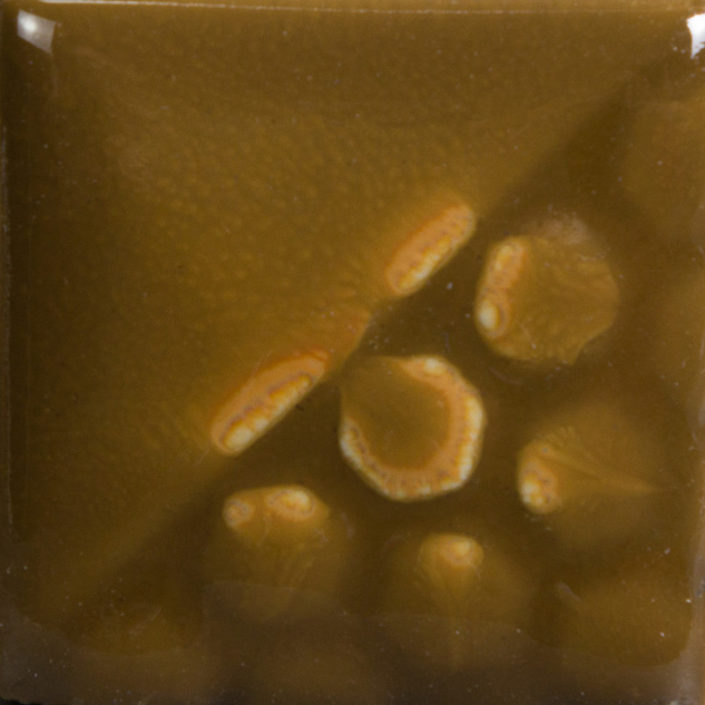 Spanish Moss 2 Spanish Moss - immagine 2