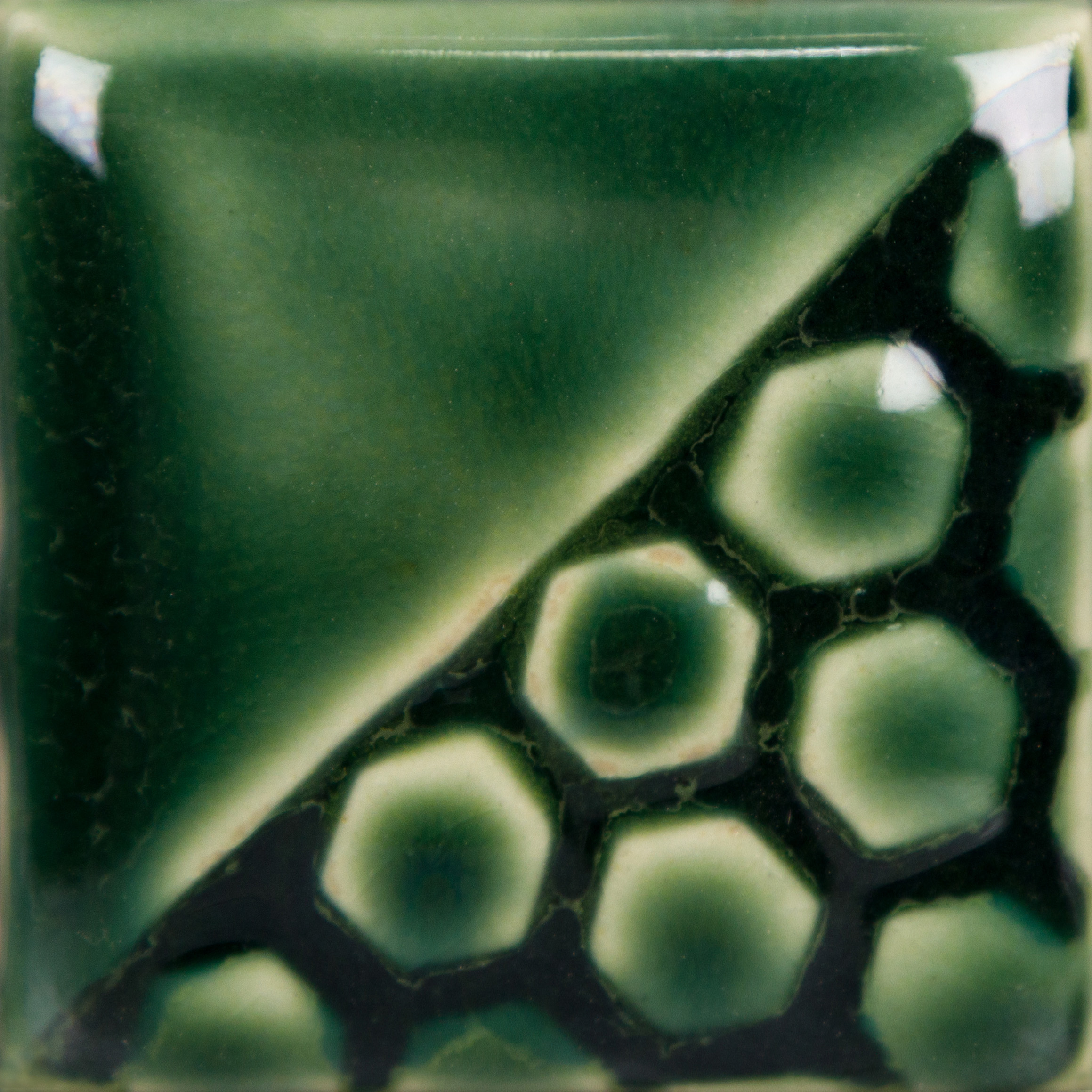 Holiday Green 2 Holiday Green - immagine 2