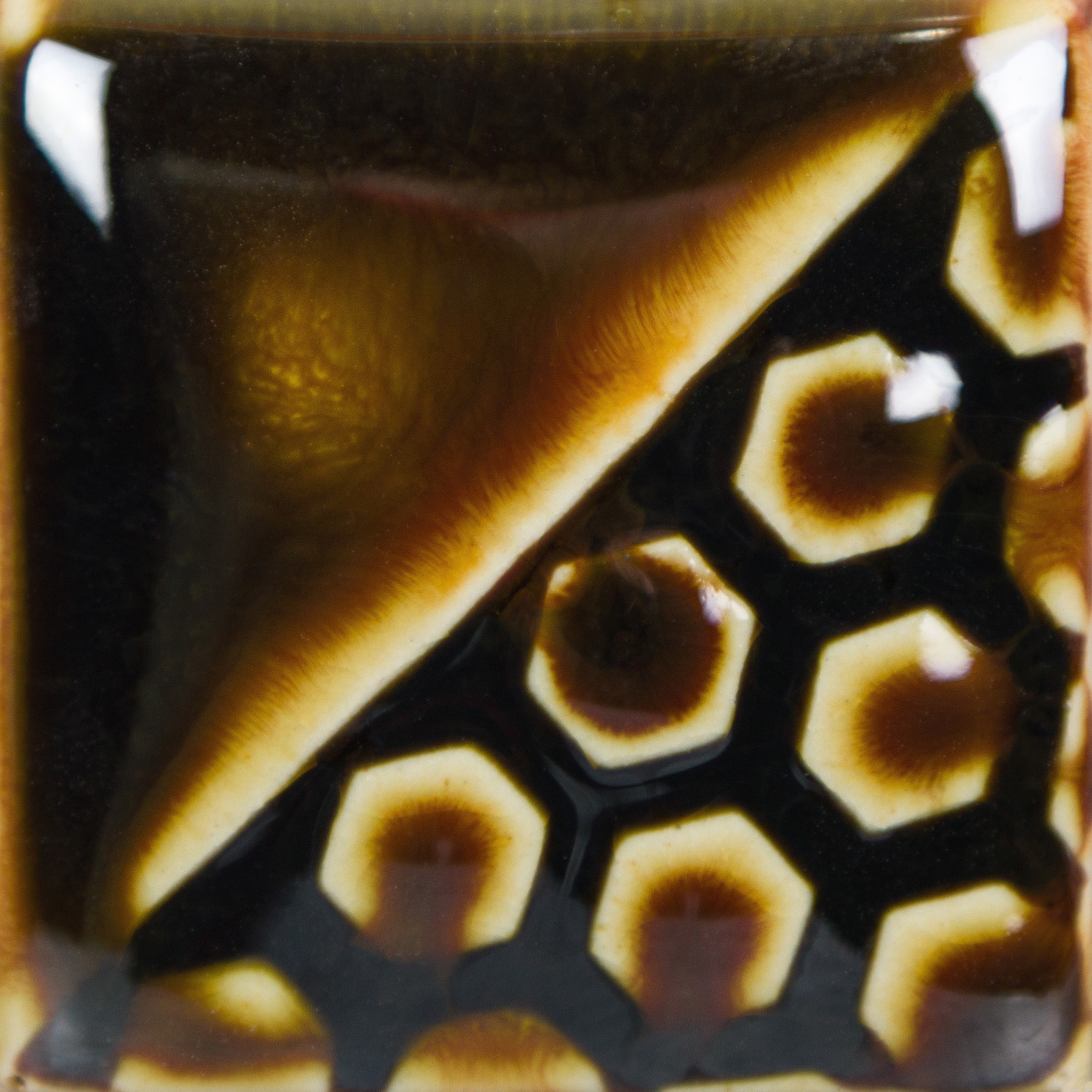 Pine Needles 2 Pine Needles - immagine 2