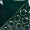 Bottle Green