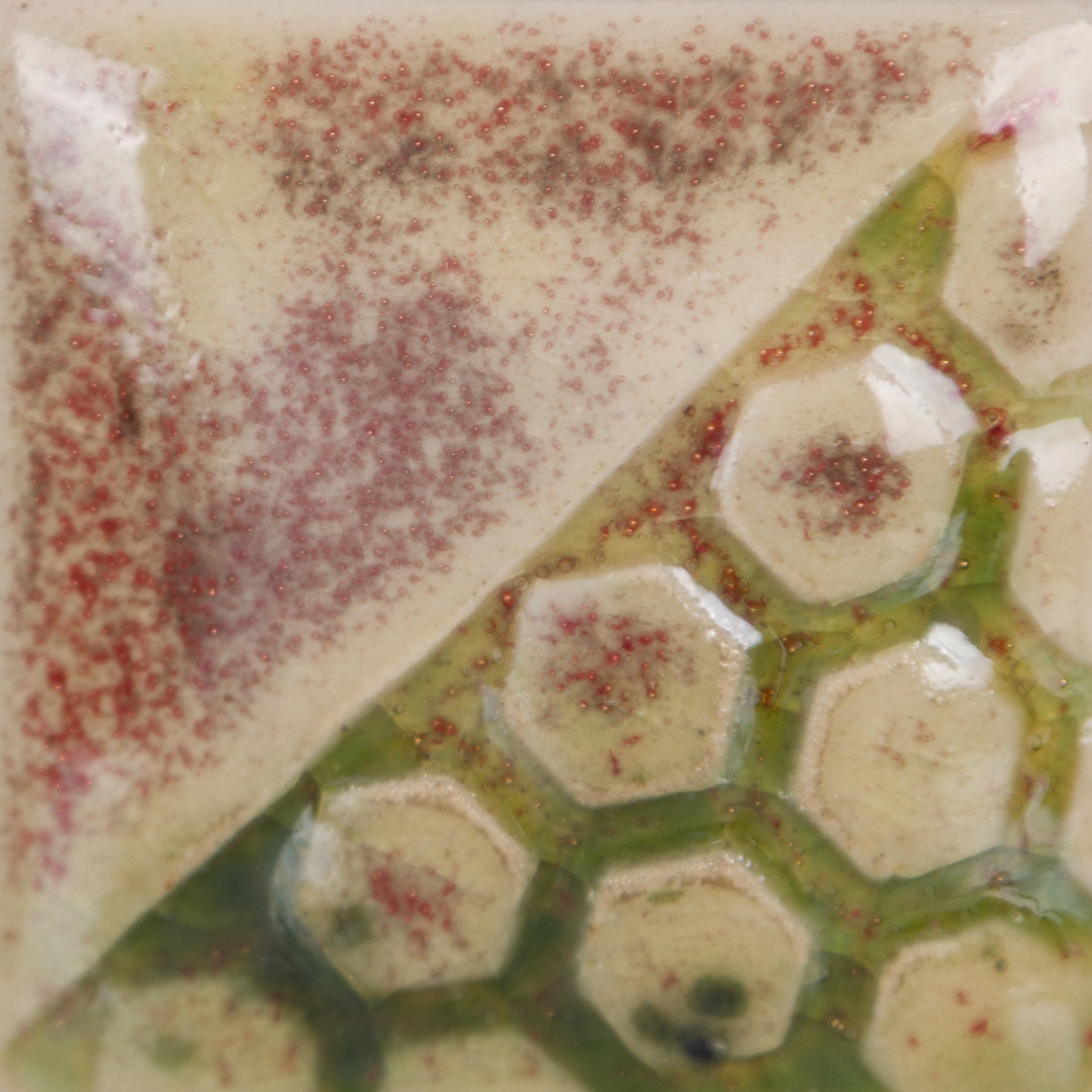 Bluegrass 4 Bluegrass - immagine 4