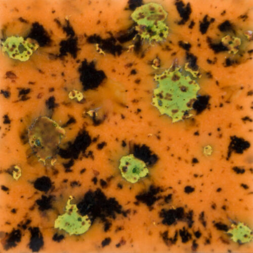 Home 24 Oriental Carmel - Mayco