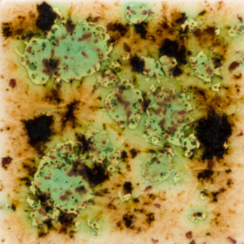 Home 22 Cappuccino Mint - Mayco