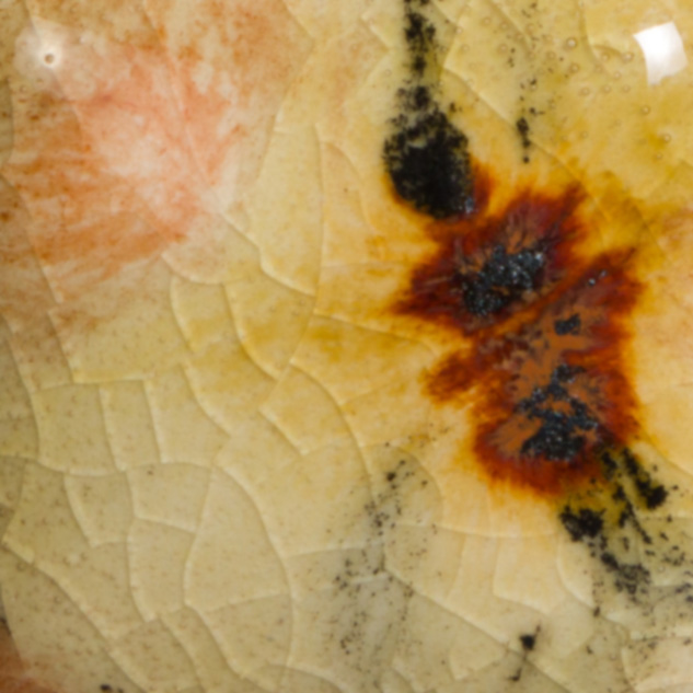 Safari 2 Risultati estetici dello smalto in cottura