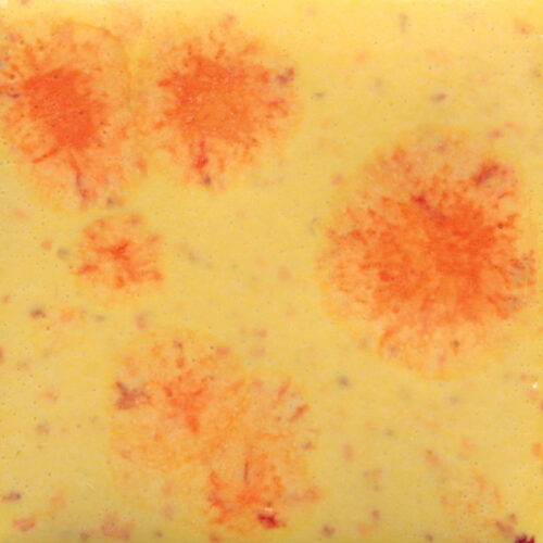 Home 32 Citrus Splash - Mayco