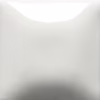 Cotton tail
