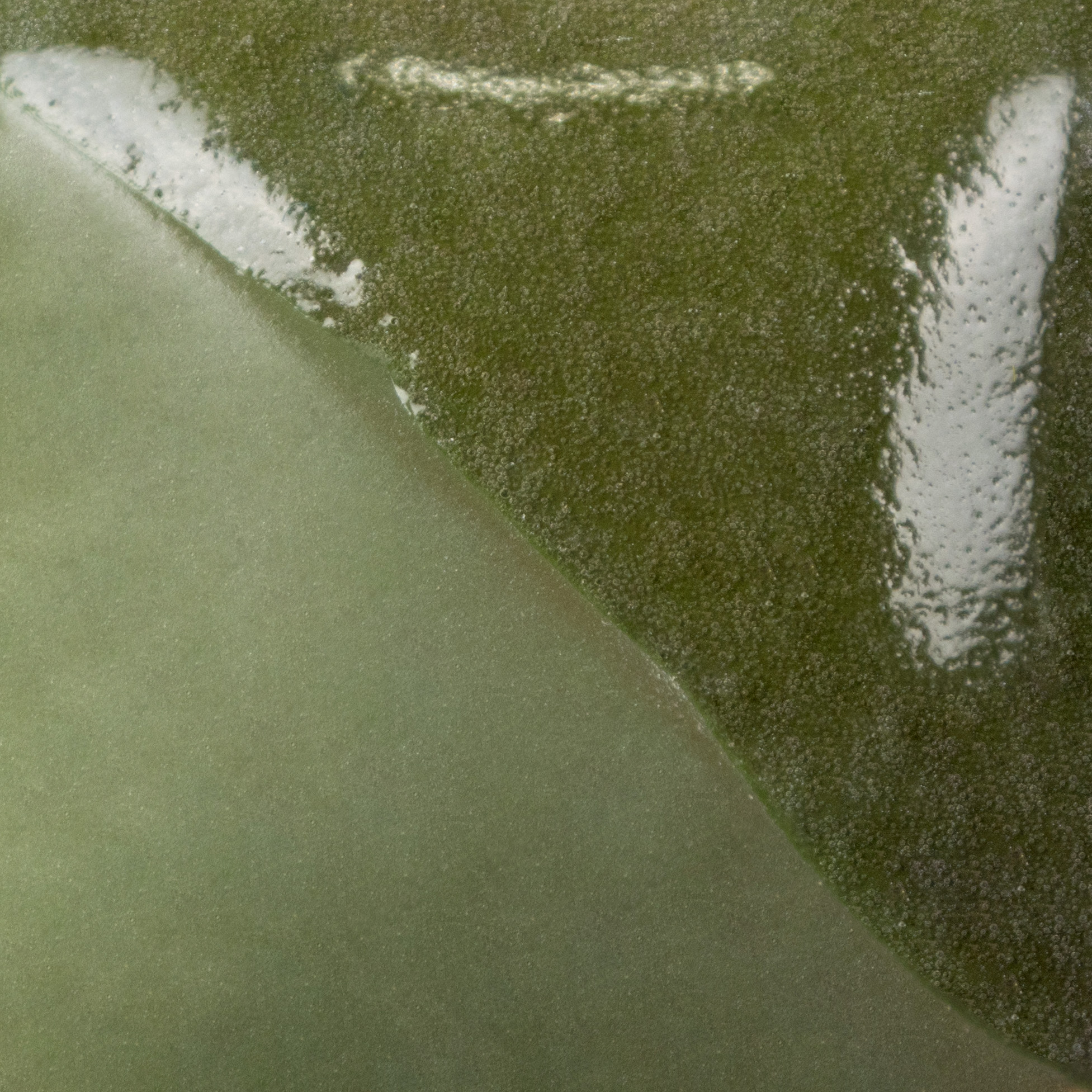 Leaf green 3 Risultati estetici dello smalto in cottura