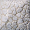 White Mudcrack