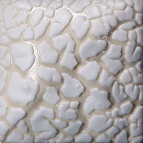 White Mudcrack