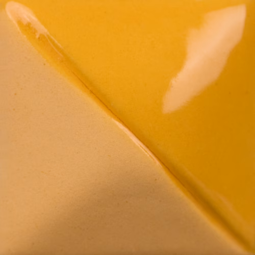 Squash Yellow Mayco