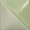 Eucalyptus