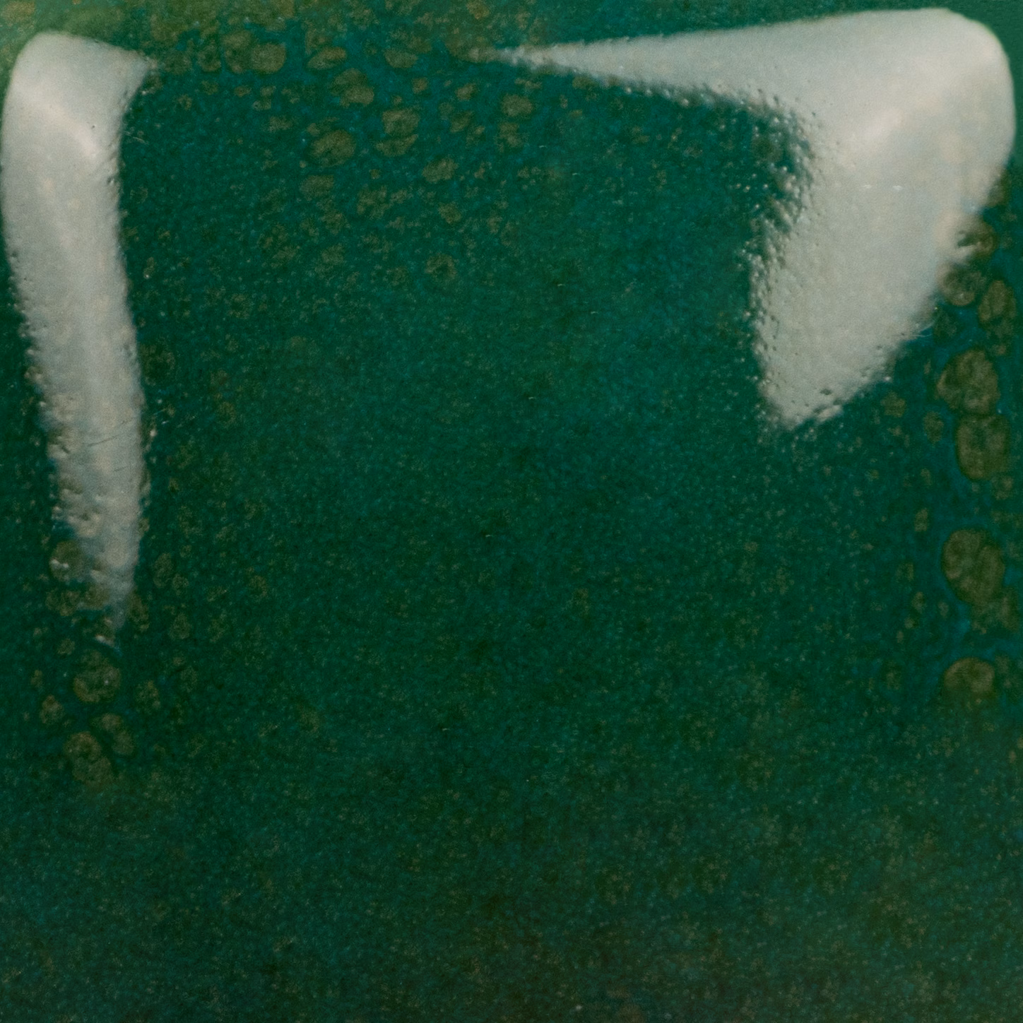 Teal Next Time - immagine 2