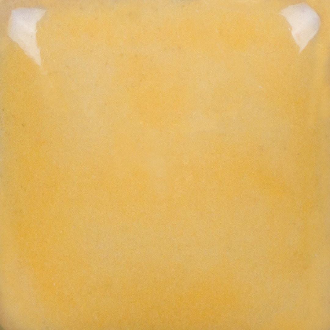 Dandelion 3 Dandelion - immagine 3