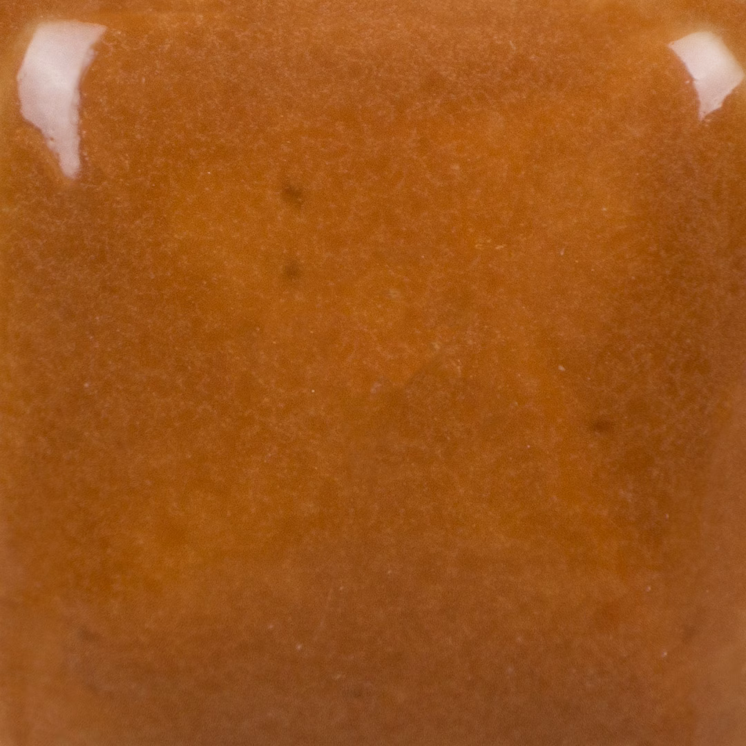 Camel Back - immagine 3