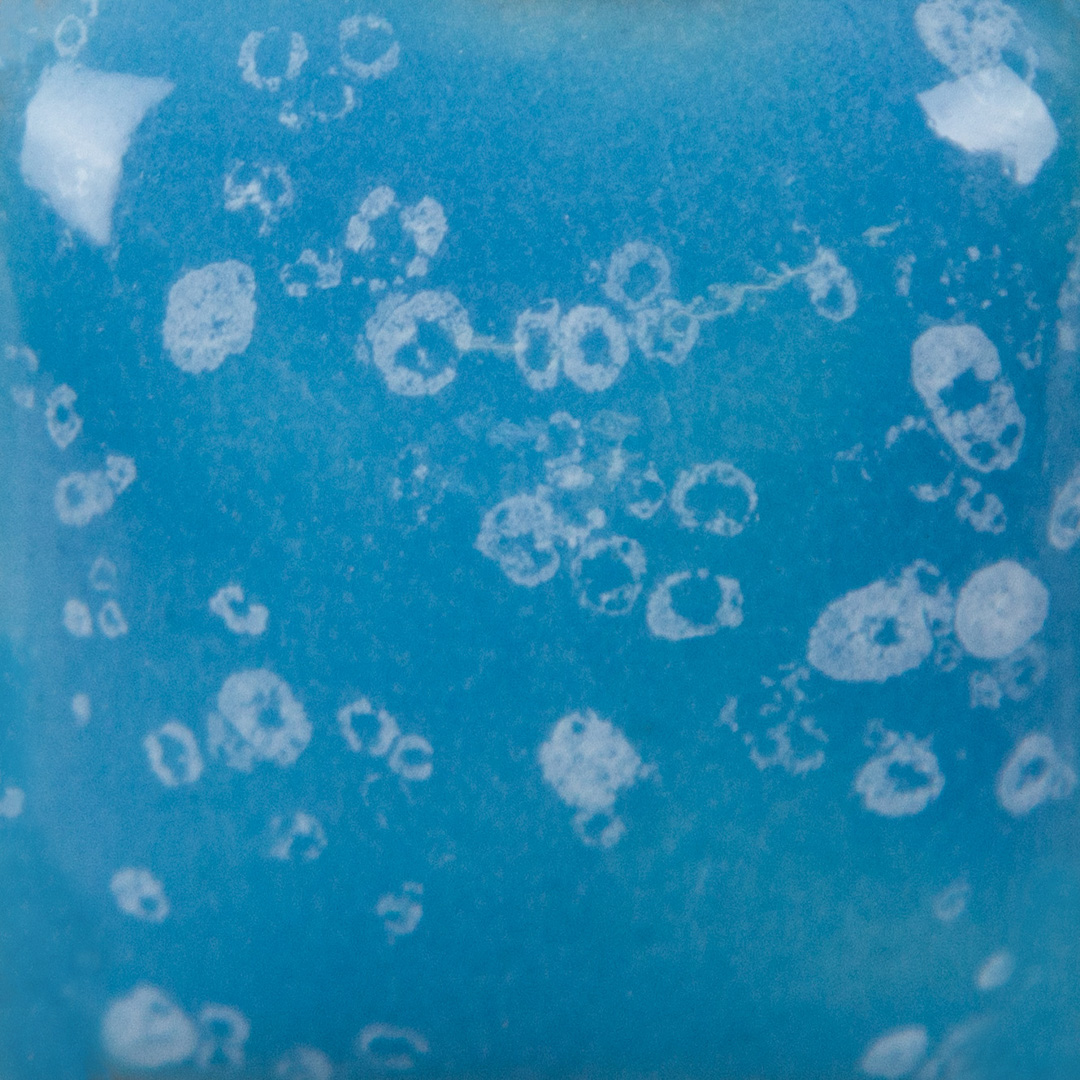 Blue Yonder 3 Blue Yonder - immagine 3