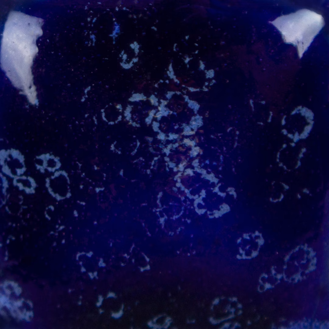 Moody Blue - immagine 3