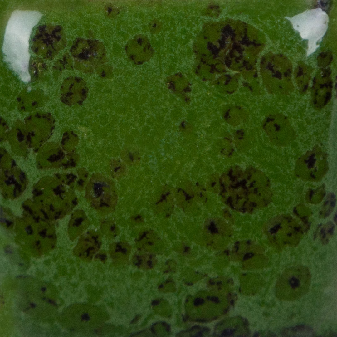 Green Thumb - immagine 3