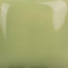 Lettuce alone