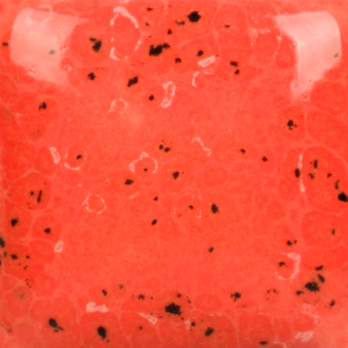 Cone 6