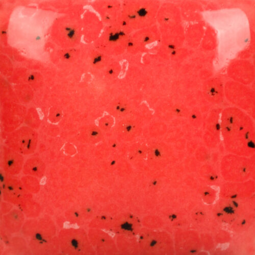 Cone 6
