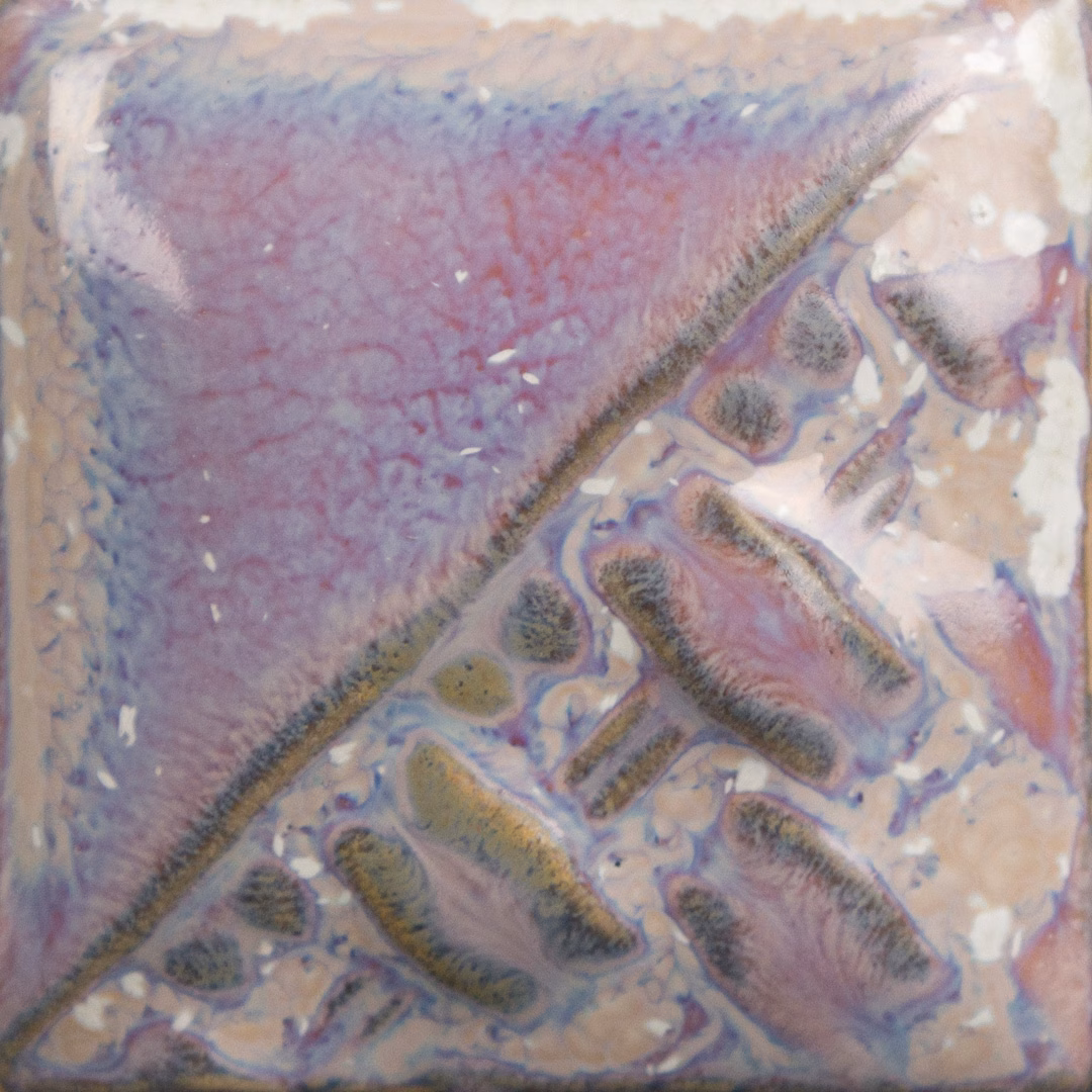 Sand Dollar - immagine 2