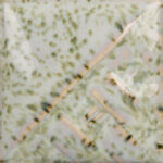 Lily Pad