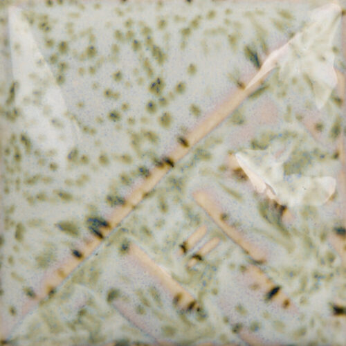 Lily Pad