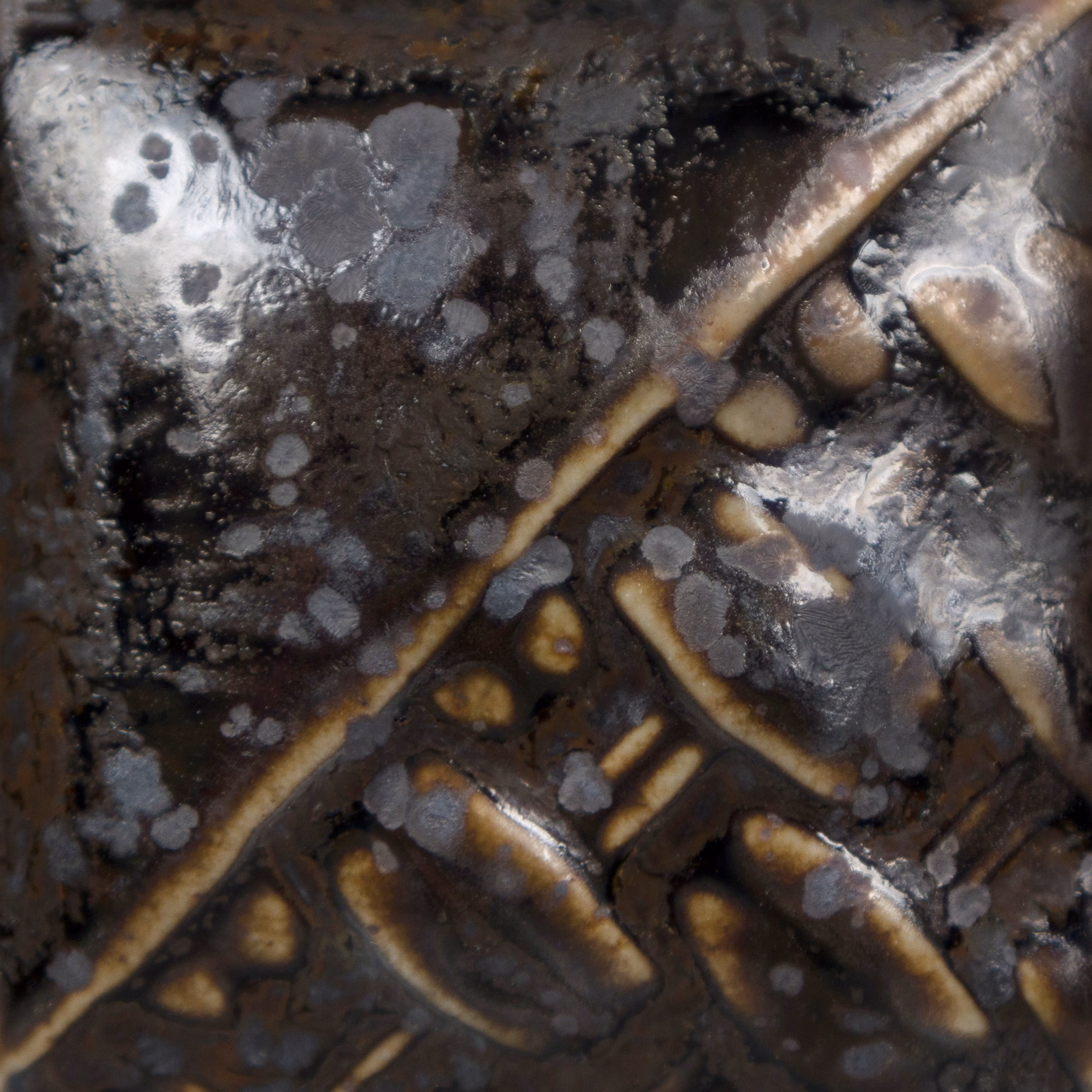 Black Timber - immagine 2