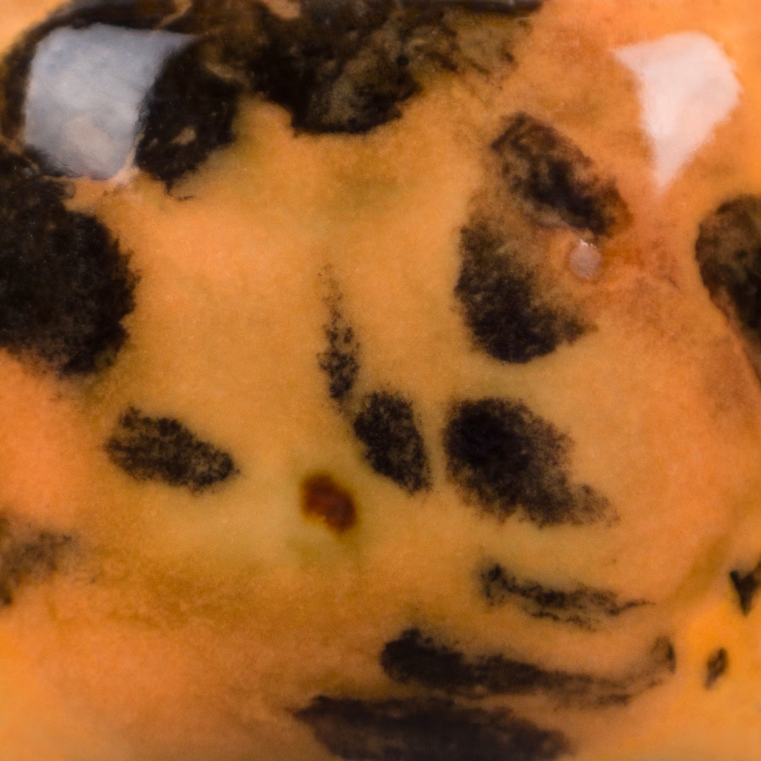 Papaya - immagine 3