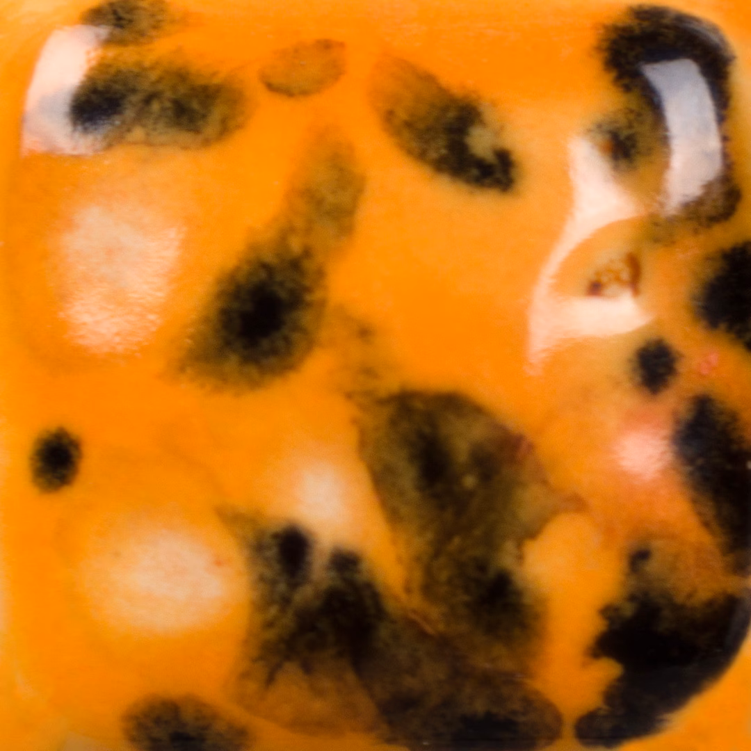 Papaya - immagine 2