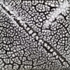White cobblestone