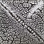 White cobblestone