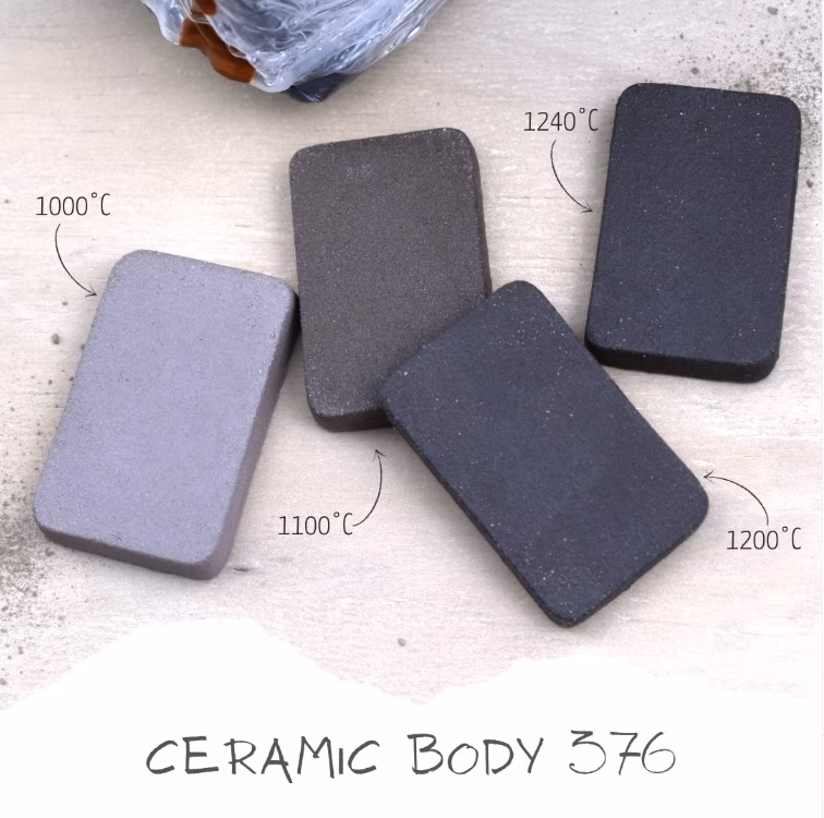 Guida Completa alle Argille da Modellare: Terracotta, Terraglia, Refrattaria, Gres e Porcellana a Confronto 6 Tasselli campione di prova dell impasto ceramico G&S 376 cotti a 1000, 1100, 1200 e 1240 gradi che mostrano lo scurimento e la sinterizzazione progressiva